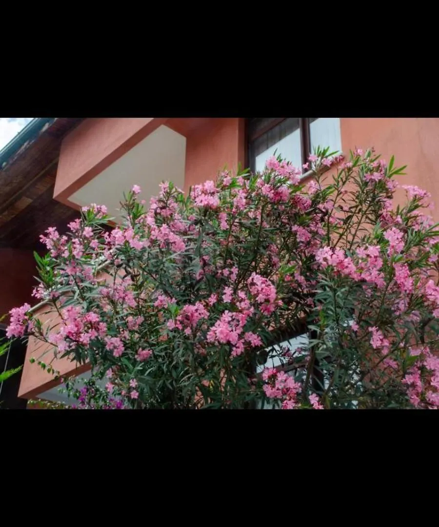 Apartamento Trabzon , Soeguetlue